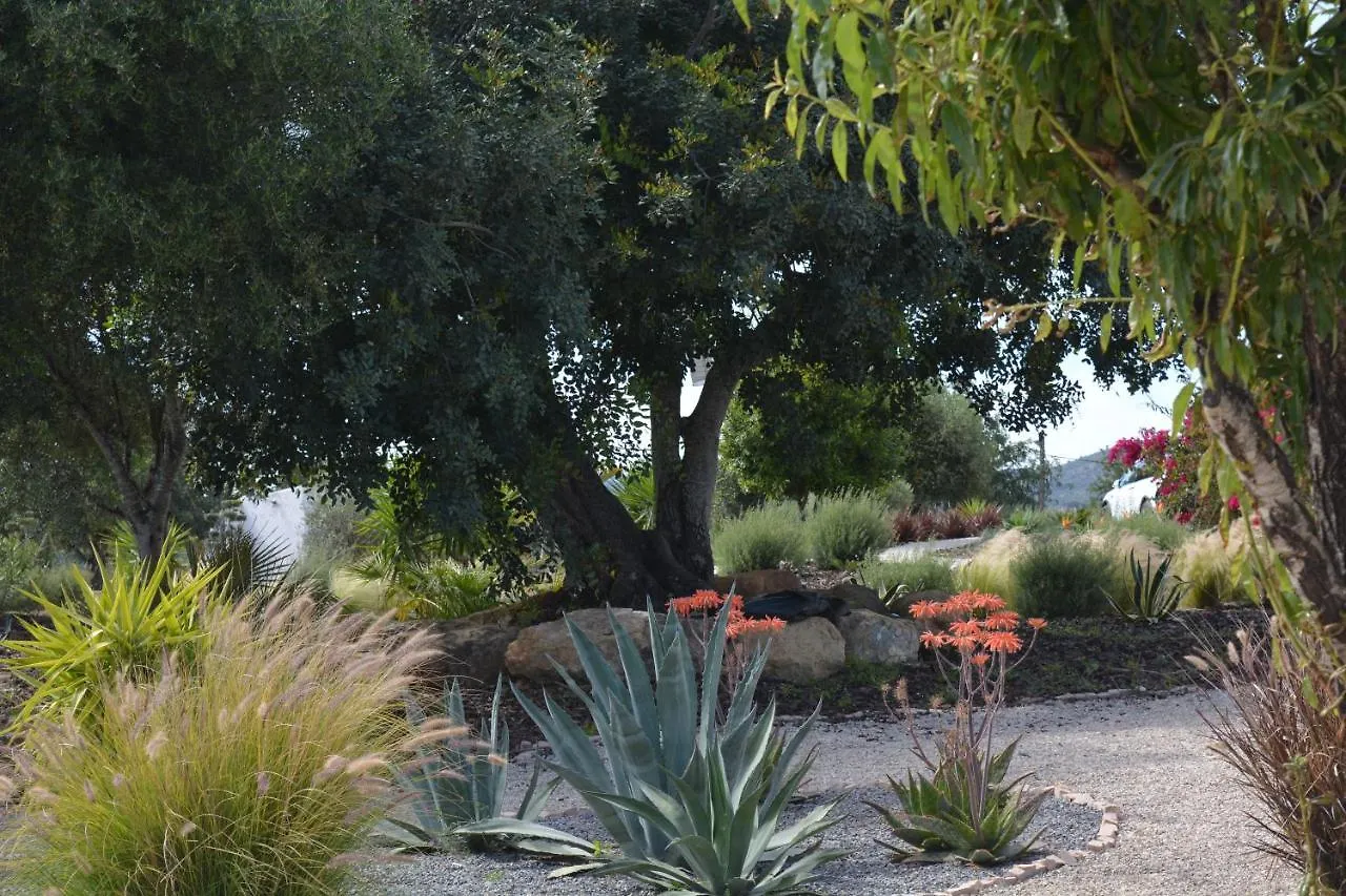 Quinta Luz Do Sol Acomodação com café da manhã Moncarapacho Portugal